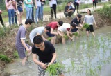 长丰杨庙镇马郢村_风景图片