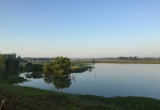 青龙甸碧根果生态园_风景图片