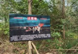 瑞光星城生态乐园_风景图片