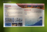 管湾国家湿地公园_风景图片