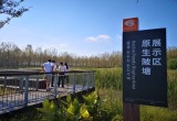 管湾国家湿地公园_风景图片