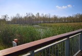管湾国家湿地公园_风景图片