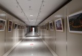 安徽省档案馆_风景图片