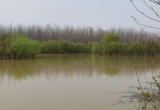 安徽庐阳董铺国家湿地公园_风景图片