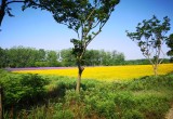 三十岗生态农业旅游区_风景图片