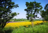 三十岗生态农业旅游区_风景图片
