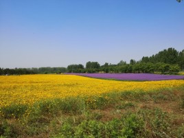 三十岗生态农业旅游区