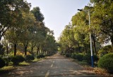 安徽省林业高科技开发中心_风景图片