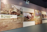  安徽省地质博物馆_风景图片
