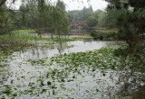 合肥植物园_风景图片