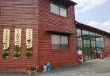 陶楼桃花源_风景图片