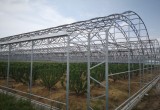 陶楼桃花源_风景图片