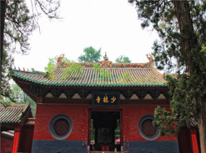 【深度河南】&lt;河南省博-少林寺-云台山-陈家沟-龙门石窟-丽景门-老君山-桃花岛-万仙山-郭亮村-包公祠双高7日游&gt;