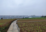 “刘一盆”都市现代农业园（安徽芸林生态农业科技有限公司）_风景图片