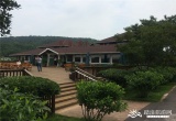 爱丽丝风情庄园_风景图片