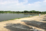 紫蓬农家大院_风景图片