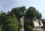 紫蓬农家大院_风景图片