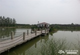 在水一方农家乐_风景图片