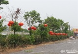 阳光生态园_风景图片