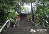 紫蓬山国家森林公园_风景图片